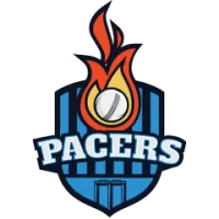 Pacers Team Flag