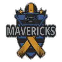 About Renegades Team