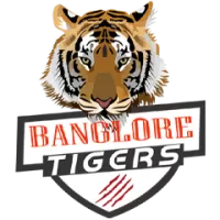 Bangalore Tigers Flag