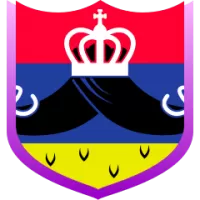 Zaglebie Lubin Team Flag