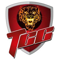 Tigers Cricket Club Team Flag