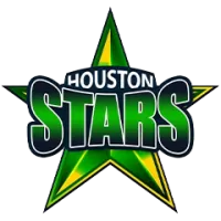 Houston Stars Team Flag