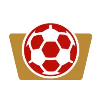 Red Star Belgrade Team Flag