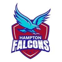 Hampton Falcons Team Flag