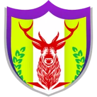 Independiente Medellin Team Flag