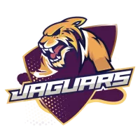 Surrey Jaguars Flag