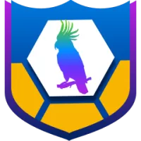 Lks Lodzz Team Flag
