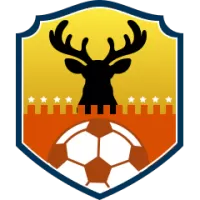Radomiak Radom Team Flag