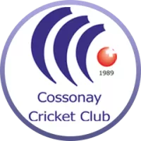 Cossonay Cc Team Flag