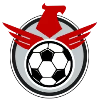 Shrewsbury Team Flag