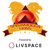 Shivamogga Lions Team Flag