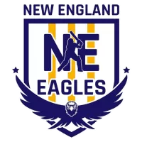 New England Eagles Team Flag