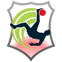 Racing Ferrol Team Flag