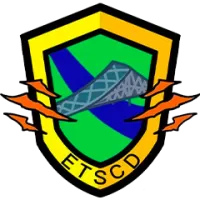 Elbe Tigers Team Flag