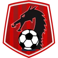 Downtown Heroes Football Club Team Flag