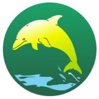 About Gold Coast Team