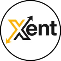 Xent Team Flag