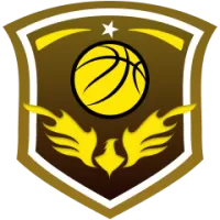 Antwerp Gaints Team Flag