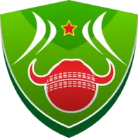 Buffalo Blasters Team Flag