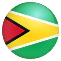 Guyana Team Flag