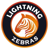 Lighting Zebras Team Flag