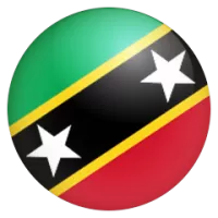 Saint Kitts And Nevis Team Flag
