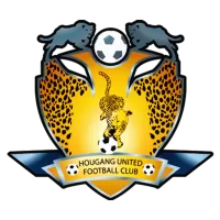 Hougang Team Flag