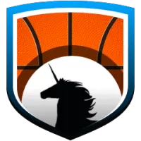 Real Estelli Team Flag