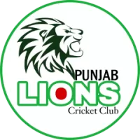 Punjab Lions Team Flag