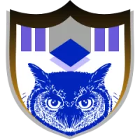 Shakhtyor Team Flag