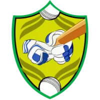 Lions Women Team Flag