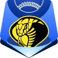 Uni Lions Team Flag
