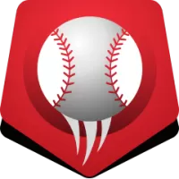 Chinatrust Brothers Team Flag