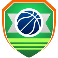 Baskets Oldenburg Team Flag