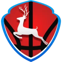 Sichuan Yuanda Team Flag