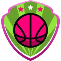 Beijing Shougang Team Flag