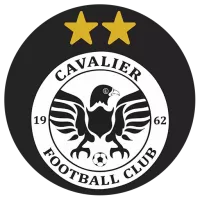 Cavalier Team Flag