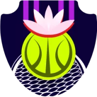 Shaanxi Tianze Team Flag