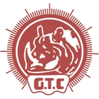 Gauhati Town Club Women Team Flag
