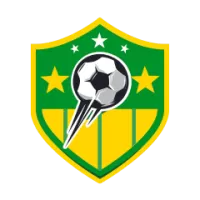 Nantes U 19 Team Flag