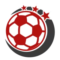 Fsv Mainz U 19 Team Flag