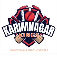 Karimnagar Kings Team Flag