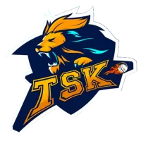 Tokyo Star Kings Team Flag