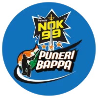 Nok 99 Team Flag
