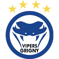 Grigny Vipers Team Flag