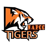 Napcc Team Flag