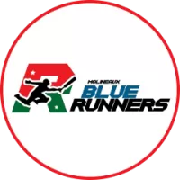 Molineaux Blue Runners Team Flag