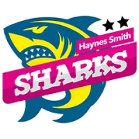 Haynes Smith Sharks Team Flag