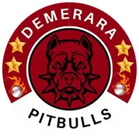 Demerara Pitbulls Team Flag