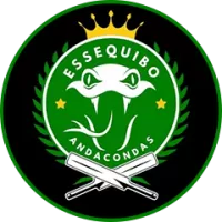 Essequibo Anacondas Team Flag